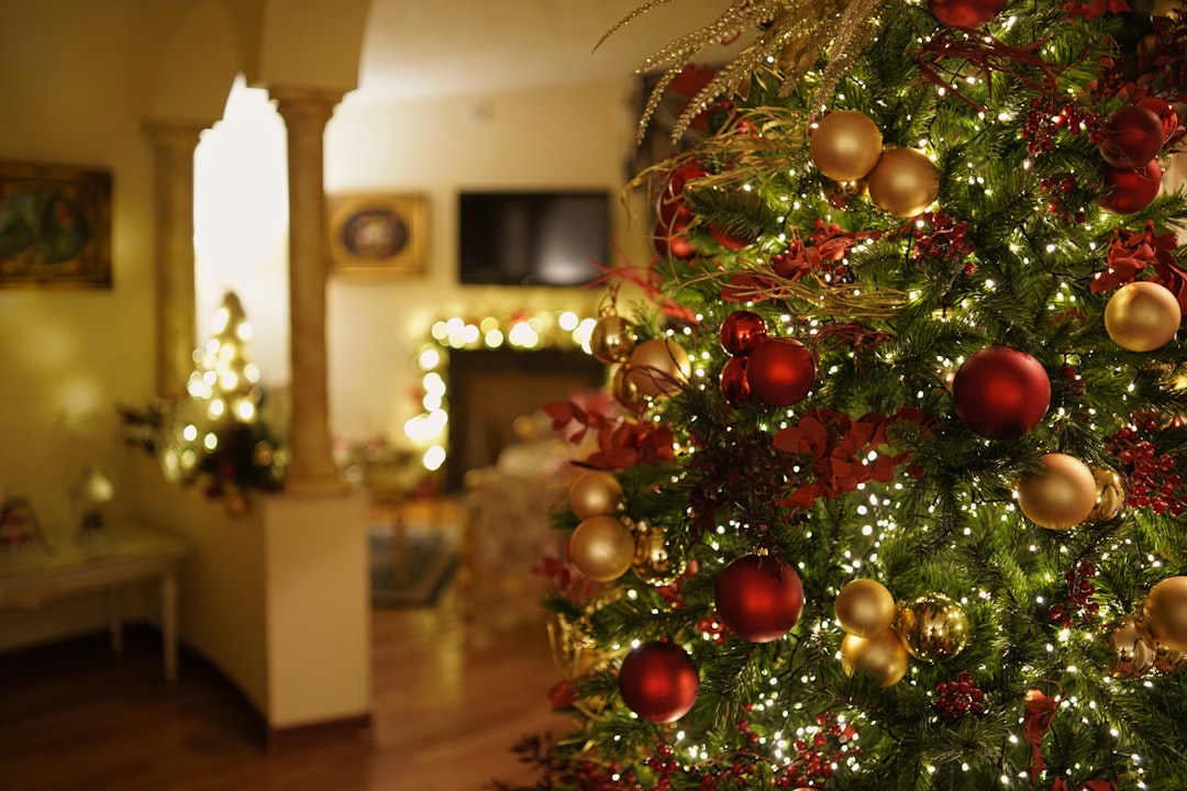 A tastefully decorated living room for the holidays, creating a warm and inviting atmosphere for potential buyers.